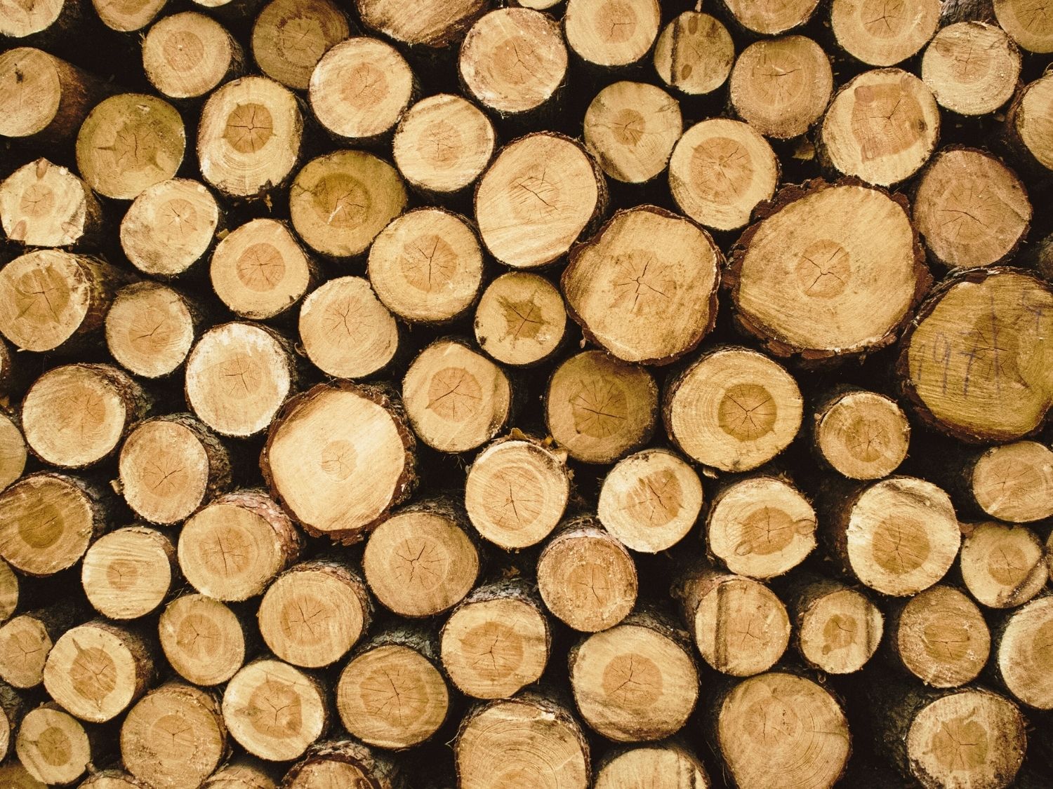 Papel FSC: Qué es, tipos de certificado y por qué es vital para la edición sostenible - Tintablanca